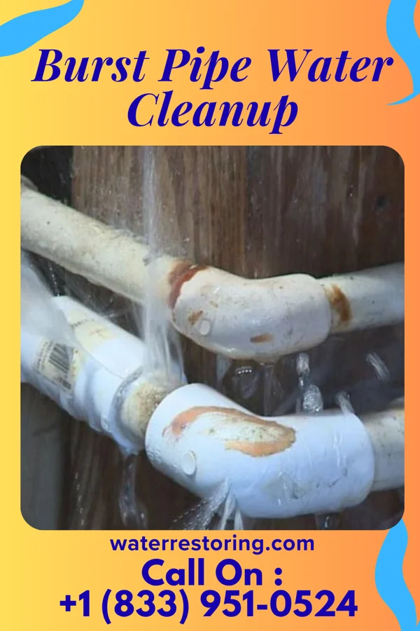Burst Pipe Water Cleanup in Marvin, NC