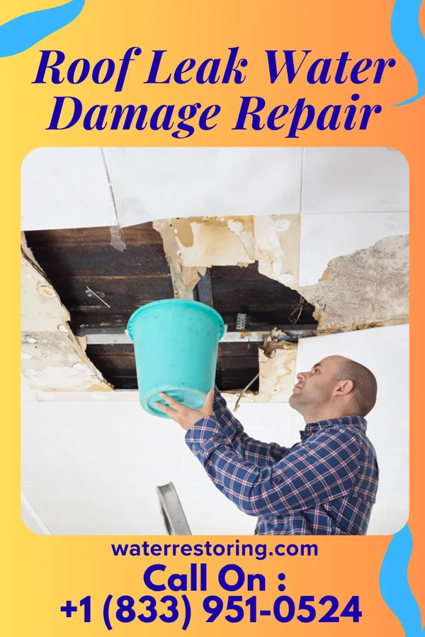 Roof Leak Water Damage Repair in Marvin, NC