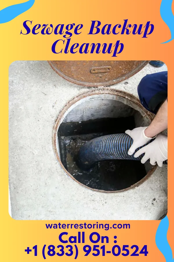 Sewage Backup Cleanup in Marvin, NC