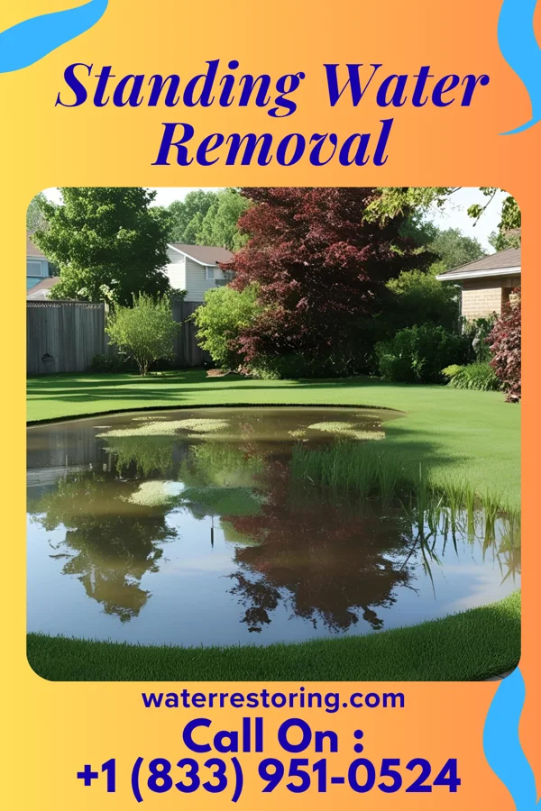 Standing Water Removal in Marvin, NC